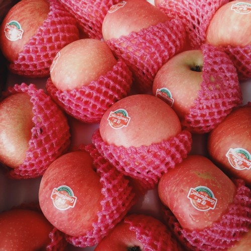 Apel Fuji Import 1kg
